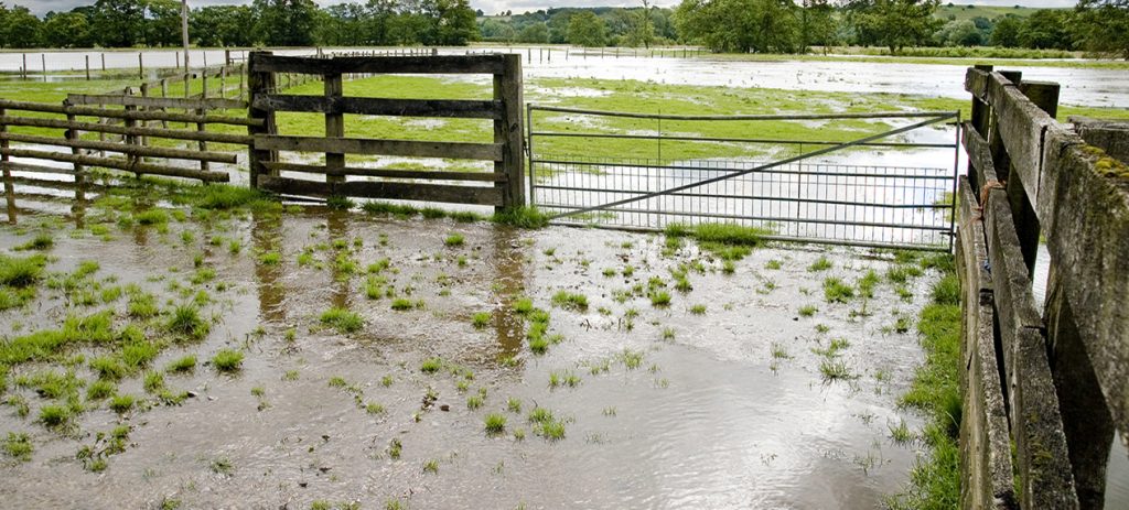midwest flood, crop insurance