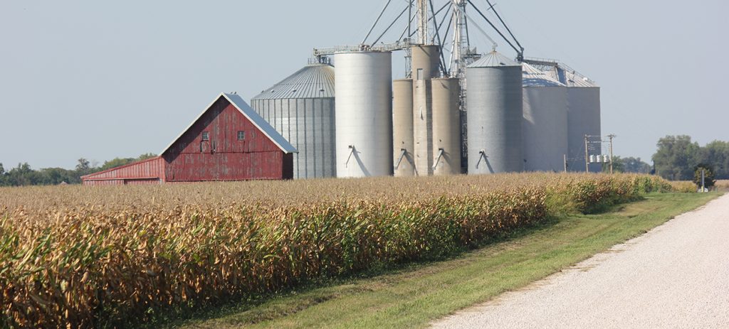 crop insurance, Illinois cornfield