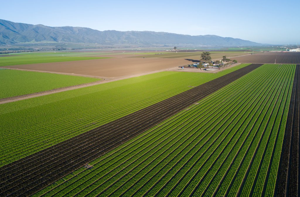 Aerial view of agricultural fields in California. USA.