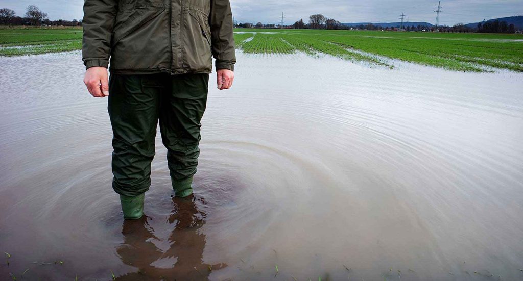 Person in flooded field